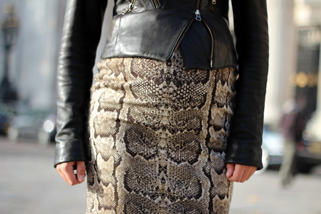 snakeskin skirt and jacket