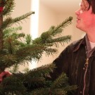 [DIARY] CHRISTMAS TREE IS IN